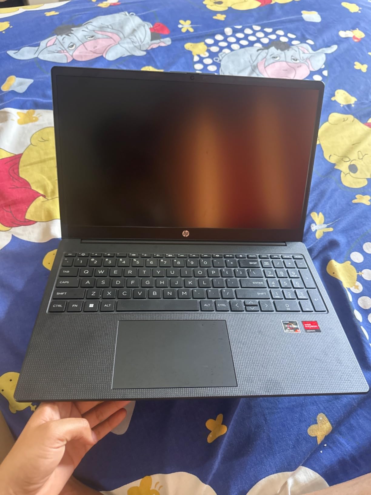 HP 255 G10 Laptop, 15.6