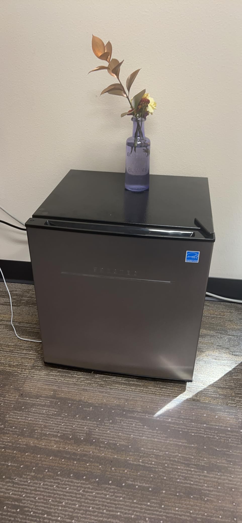 Frestec Mini Fridge with Freezer 3.2 Cu.Ft. 2 Door Refrigerator and Freezer Small Fridge for Bedroom Home Office Dorm, Small Drink Chiller, 37 dB Low Noise, Stainless Steel - Customer Photo 2