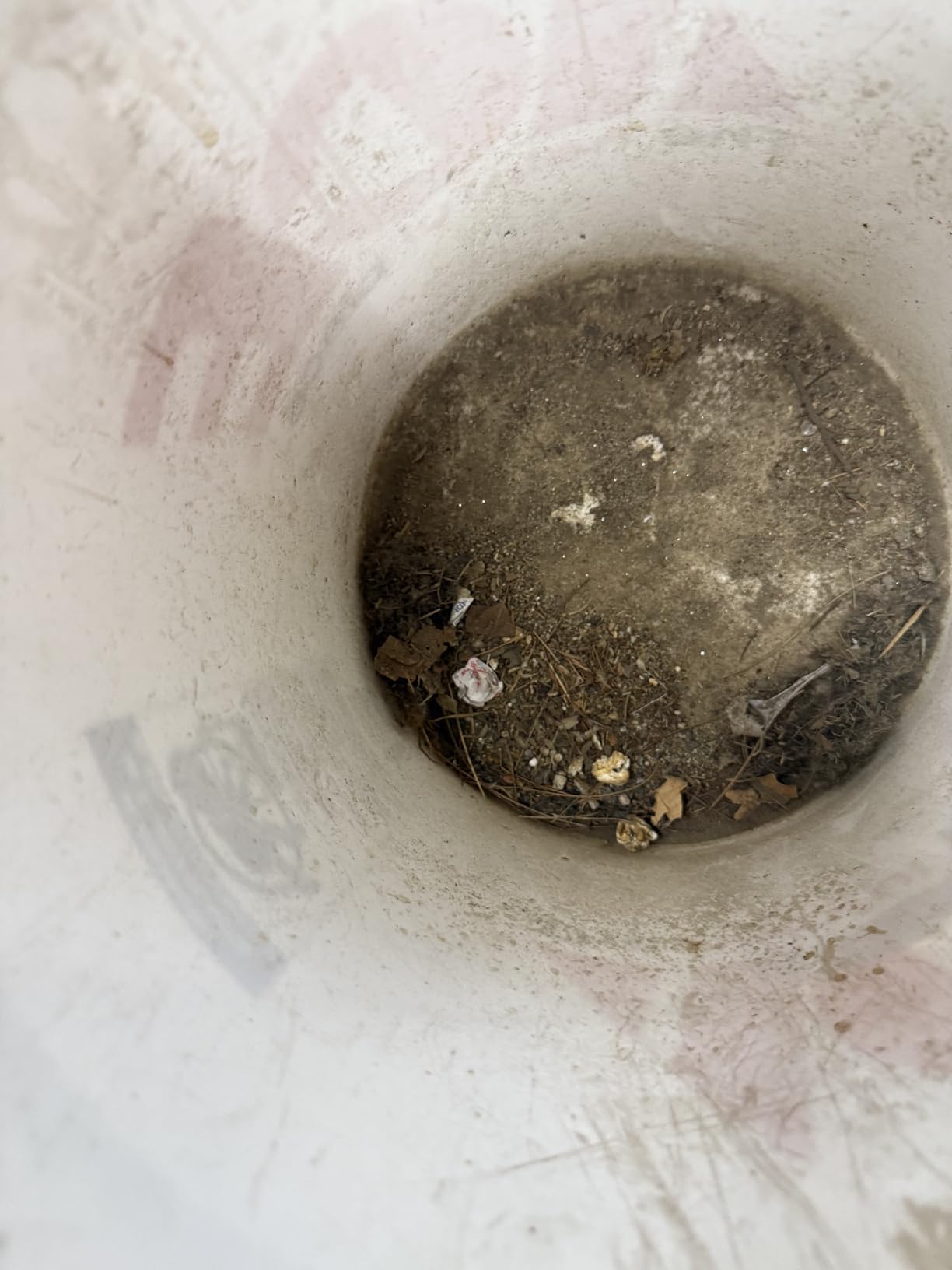 Pet Hair Handheld Vacuum Cordless: 20000PA High Power Car Vacuum with Motorized Brush and LED Light, Rechargeable Hand Held Vacuum Cleaner with Reusable Filter for Car, Home, Office & Pet, Purple - Customer Photo 2