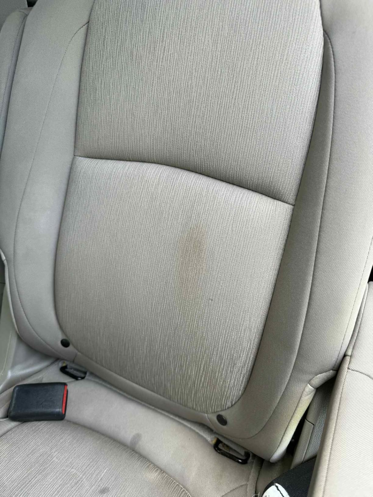 Abracadabra® Dream Stain Remover - 16oz Stain Remover Spray - a Family, Kids and Pet Necessity - Removes Food, Wine, Coffee Stains and More Off Clothing, Carpet and Upholstery - as seen on tv - Customer Photo 1