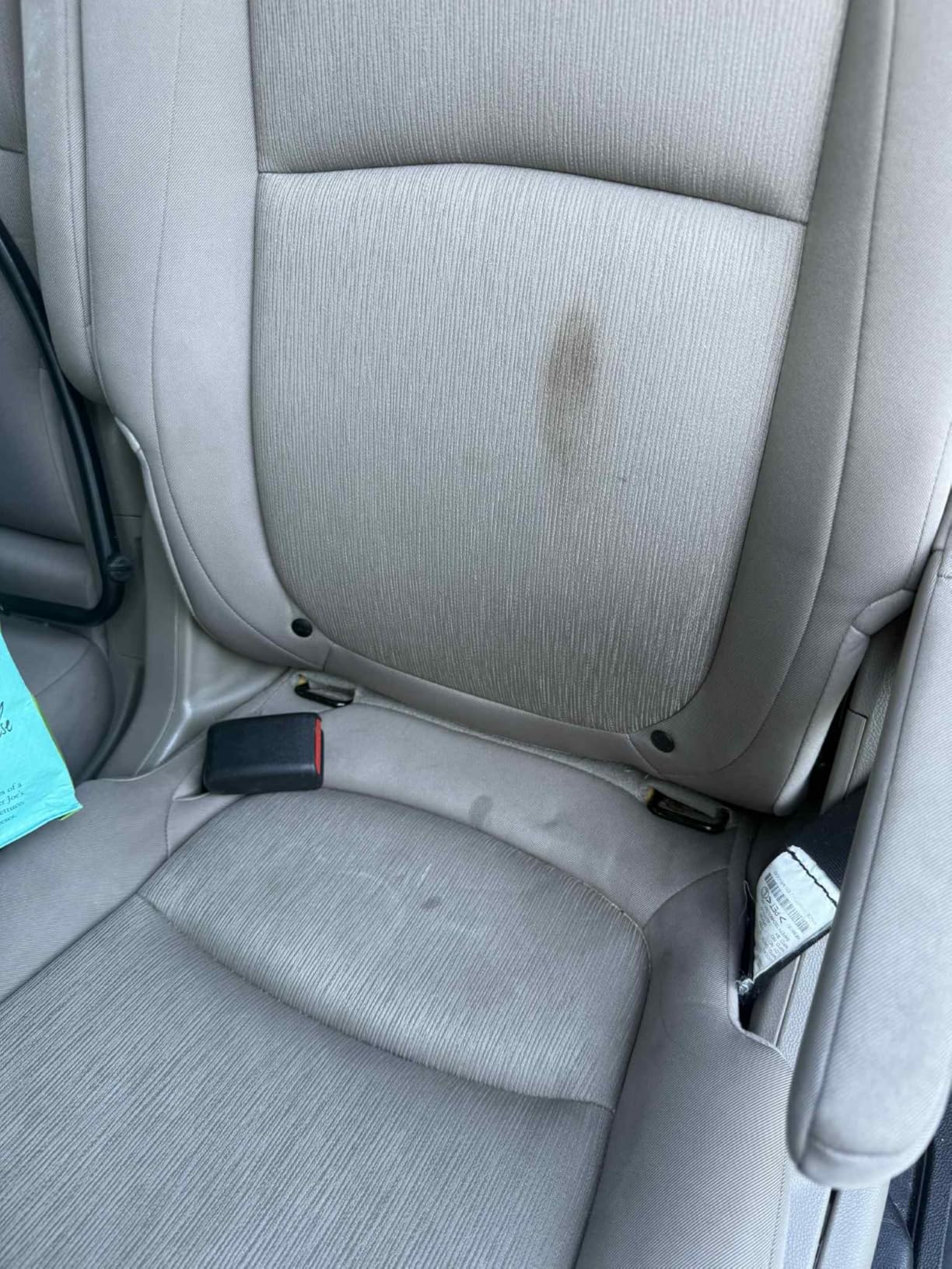 Abracadabra® Dream Stain Remover - 16oz Stain Remover Spray - a Family, Kids and Pet Necessity - Removes Food, Wine, Coffee Stains and More Off Clothing, Carpet and Upholstery - as seen on tv - Customer Photo 2