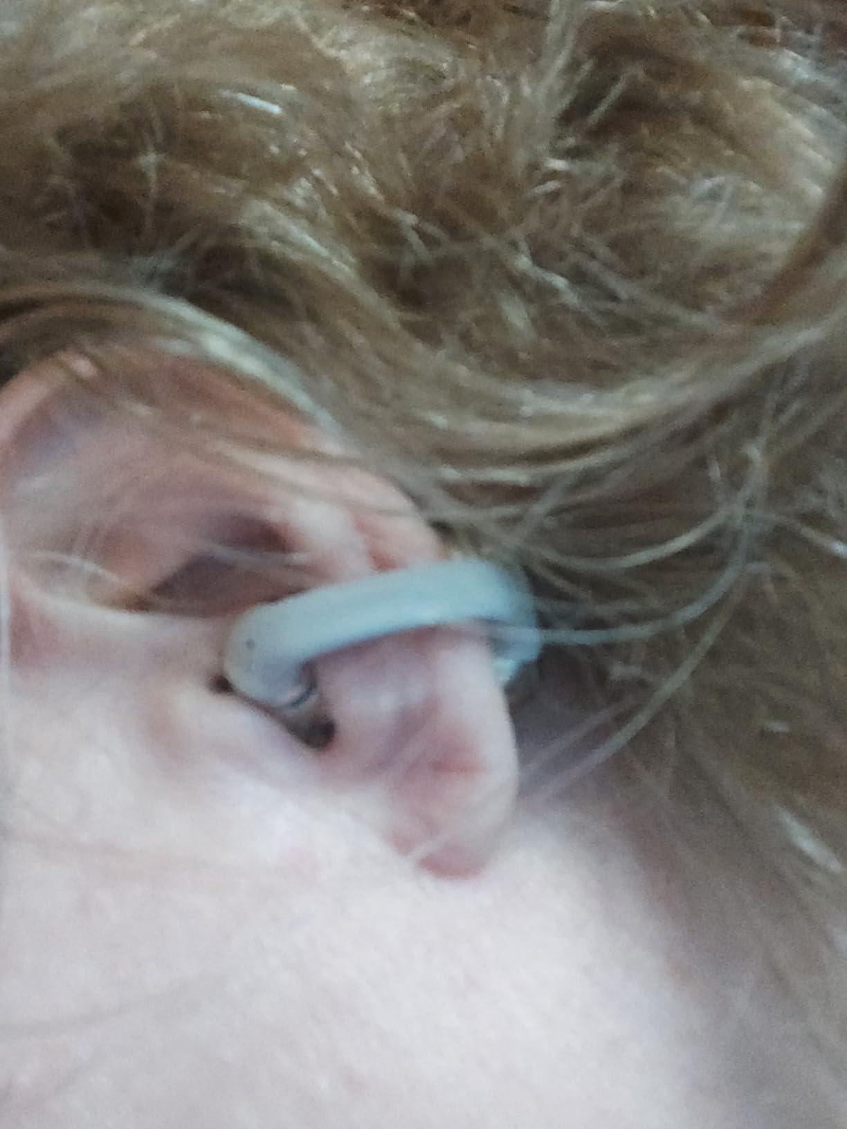 SHOKZ OpenDots ONE - Open-Ear Headphones - Wireless Bluetooth Earbuds with Microphone - Secure, Lightweight, Clip-On Fit - Premium Dolby Audio - Water Resistant - Fast Charging - Up to 40 hrs Playtime - Customer Photo 1