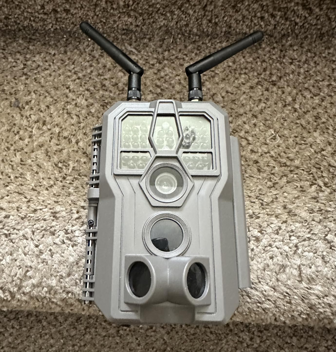 GardePro E8 2.0 Pro WiFi Trail Camera 4K with 64GB SD Card & 7800mAh Battery, Dual Antennas, Night Vision, App Control, Waterproof Game Camera for Wildlife or Property Customer Review GardePro E8 2.0 Pro WiFi Trail Camera 4K with 64GB SD Card & 7800mAh Battery, Dual Antennas, Night Vision, App Control, Waterproof Game Camera for Wildlife or Property - Customer Photo 1