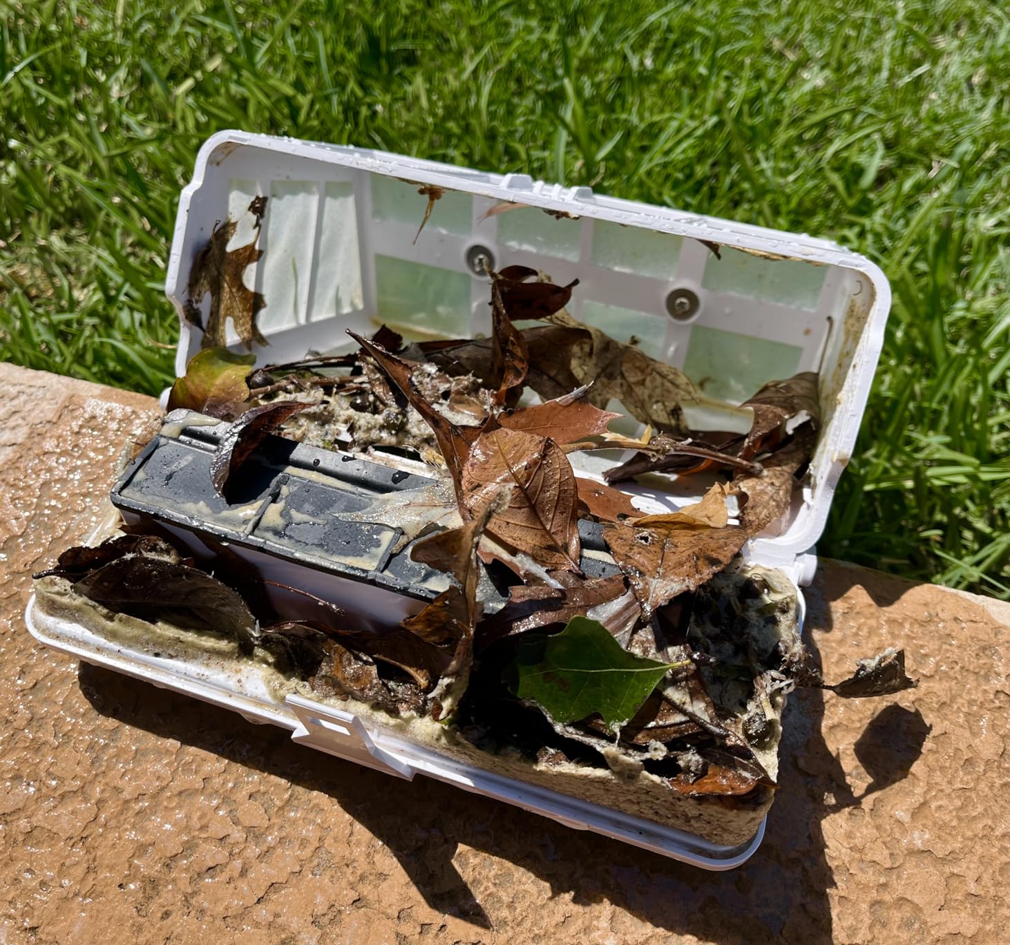 (2025 Upgrade) WYBOT C1 Robotic Pool Vacuum for Inground & Above Ground Pools, 150mins Cordless Pool Cleaner 4-in-1 Wall & Waterline Cleaning Up to 1,614sq.ft, Smart Navigation, App Support - Customer Photo 4