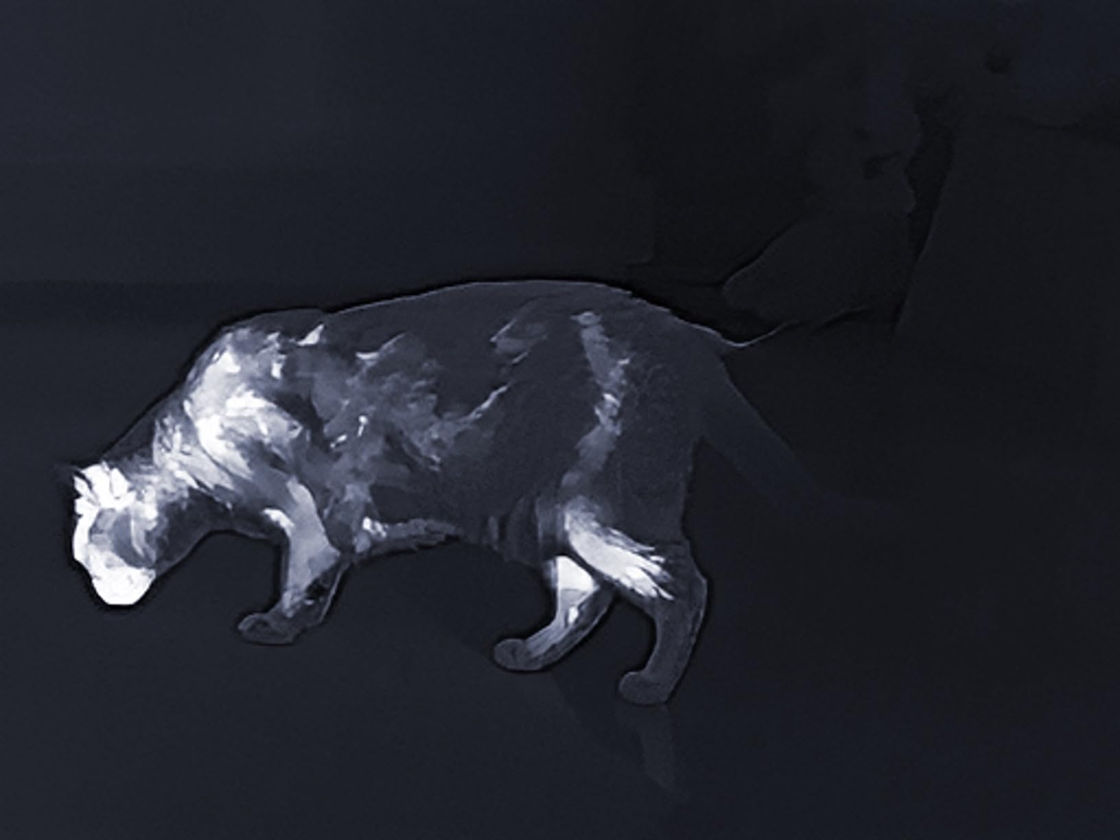 T2 Pro Thermal Monocular for iPhone, 1500 Yards Hunting Night Vision Scope with 13mm Lens, Tactical Handle, Scope Mount, Infrared Camera for Outdoor Detecting Deer - Customer Photo 2