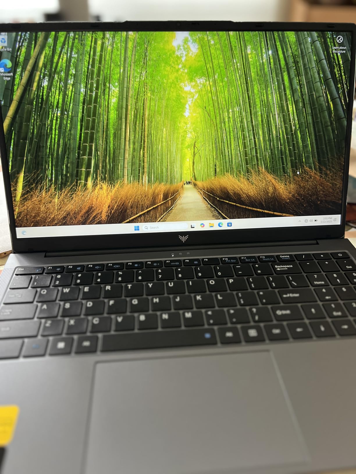 2025 Gaming Laptop with AMD Ryzen7 5000 Series(Up to 4.3GHZ,8C/16T),AMD Radeon Graphics,16GB DDR4x2 512GB SSD Notebook Computer with Numeric Keyboard,15.6 inch IPS Display,WIFI6,Type-C - Customer Photo 3