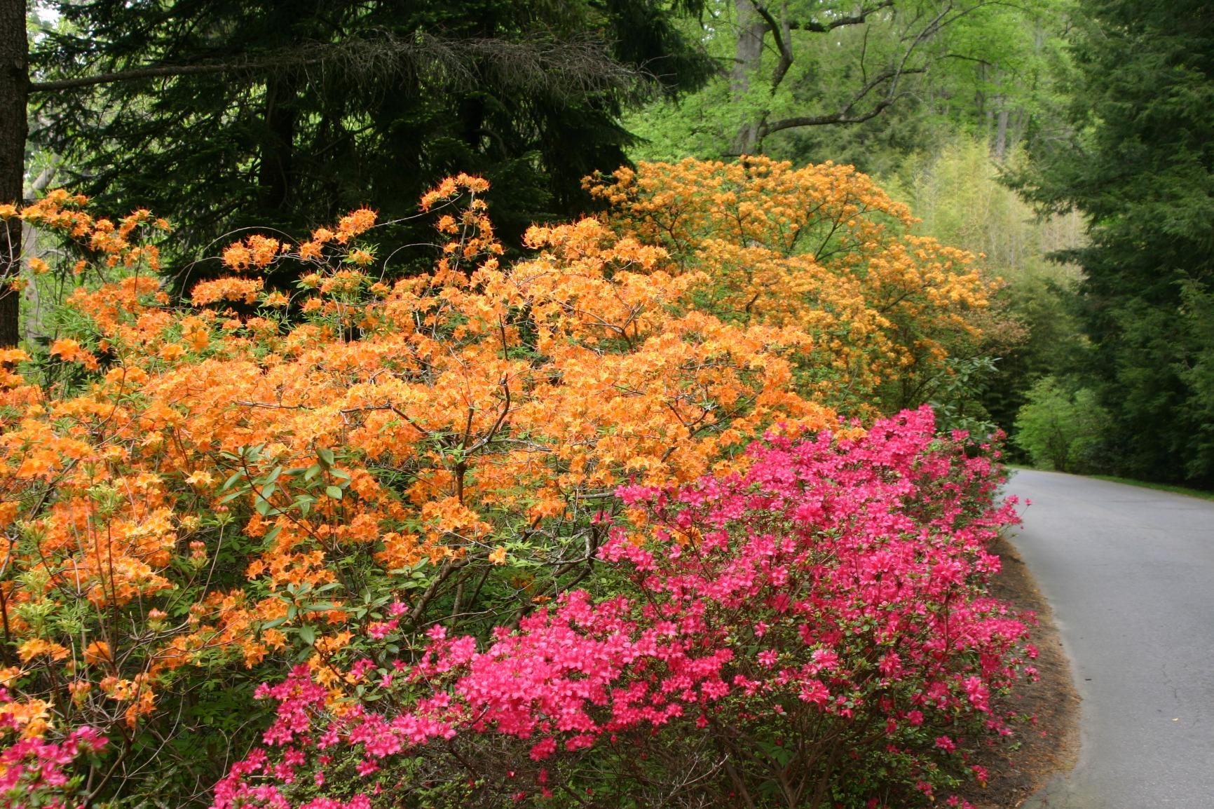 HP Tower Desktop Computer for Home Student & Business, 13th Gen Intel Quad-Core Processor (Beat i5-12400), 16GB DDR4 RAM, 256GB PCIe SSD, WiFi Adapter, VGA, RJ-45, HDMI, KB and Mouse, Windows 11 Pro Customer Review HP Tower Desktop Computer for Home Student & Business, 13th Gen Intel Quad-Core Processor (Beat i5-12400), 16GB DDR4 RAM, 256GB PCIe SSD, WiFi Adapter, VGA, RJ-45, HDMI, KB and Mouse, Windows 11 Pro - Customer Photo 1