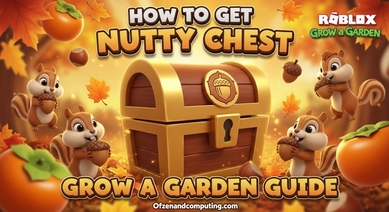 Nutty Chest Guide
