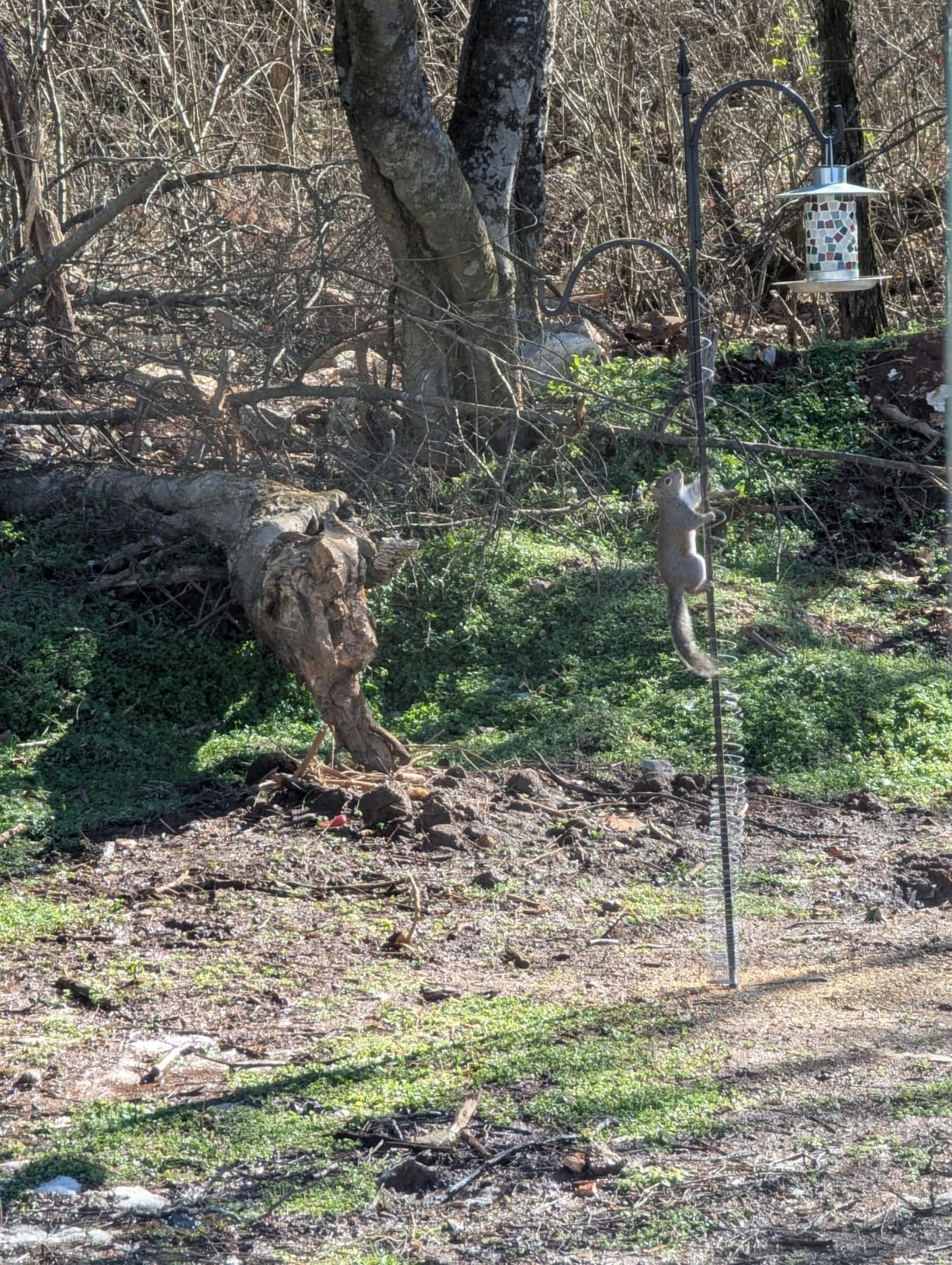 The Original Slinky Walking Spring Toy, 2.75-inch Diameter Metal Slinky, Fidget Toys - Customer Photo 4