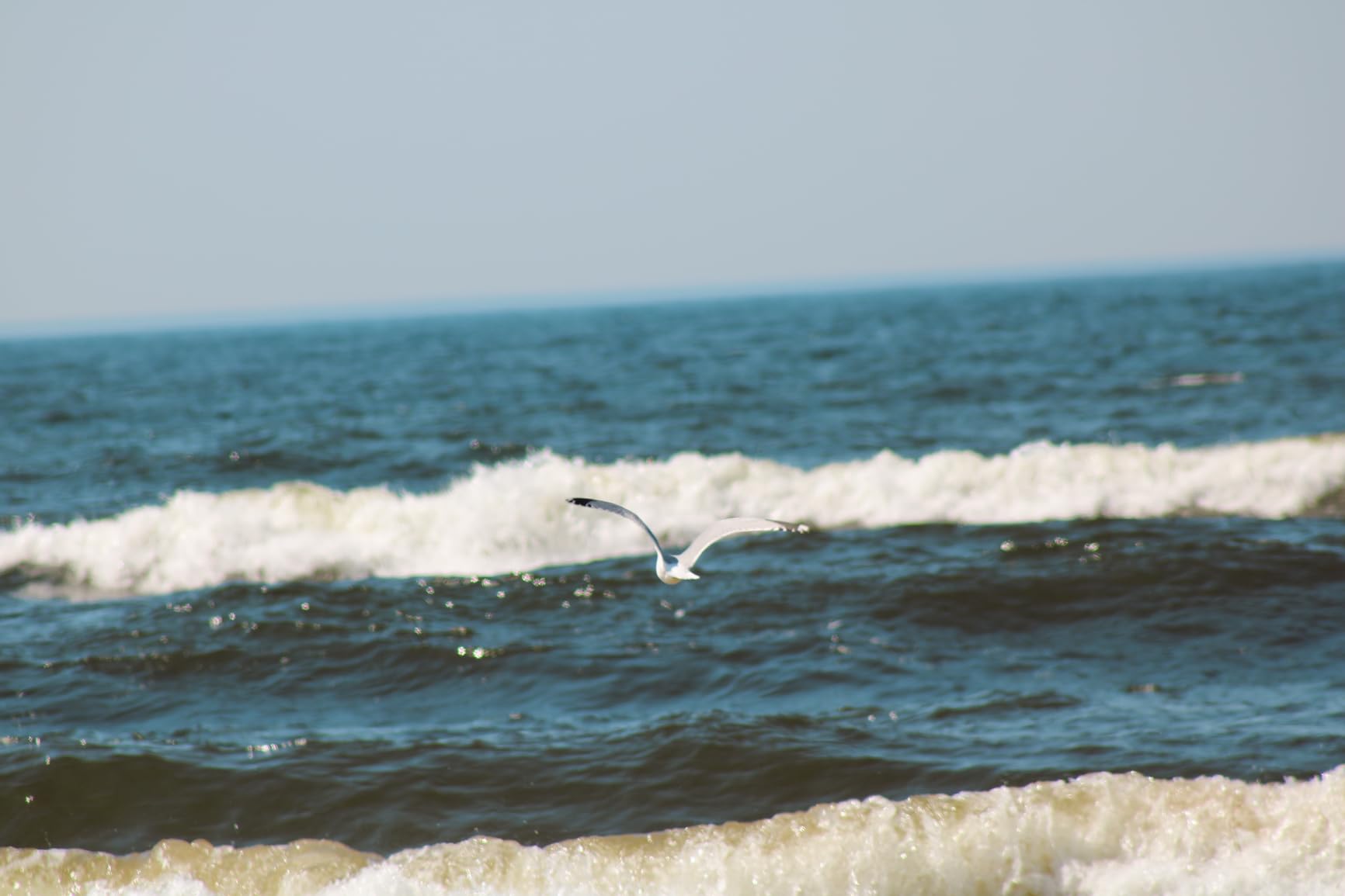 Canon EF 75-300mm f/4-5.6 III Telephoto Zoom Lens for Canon SLR Cameras - Customer Photo 4