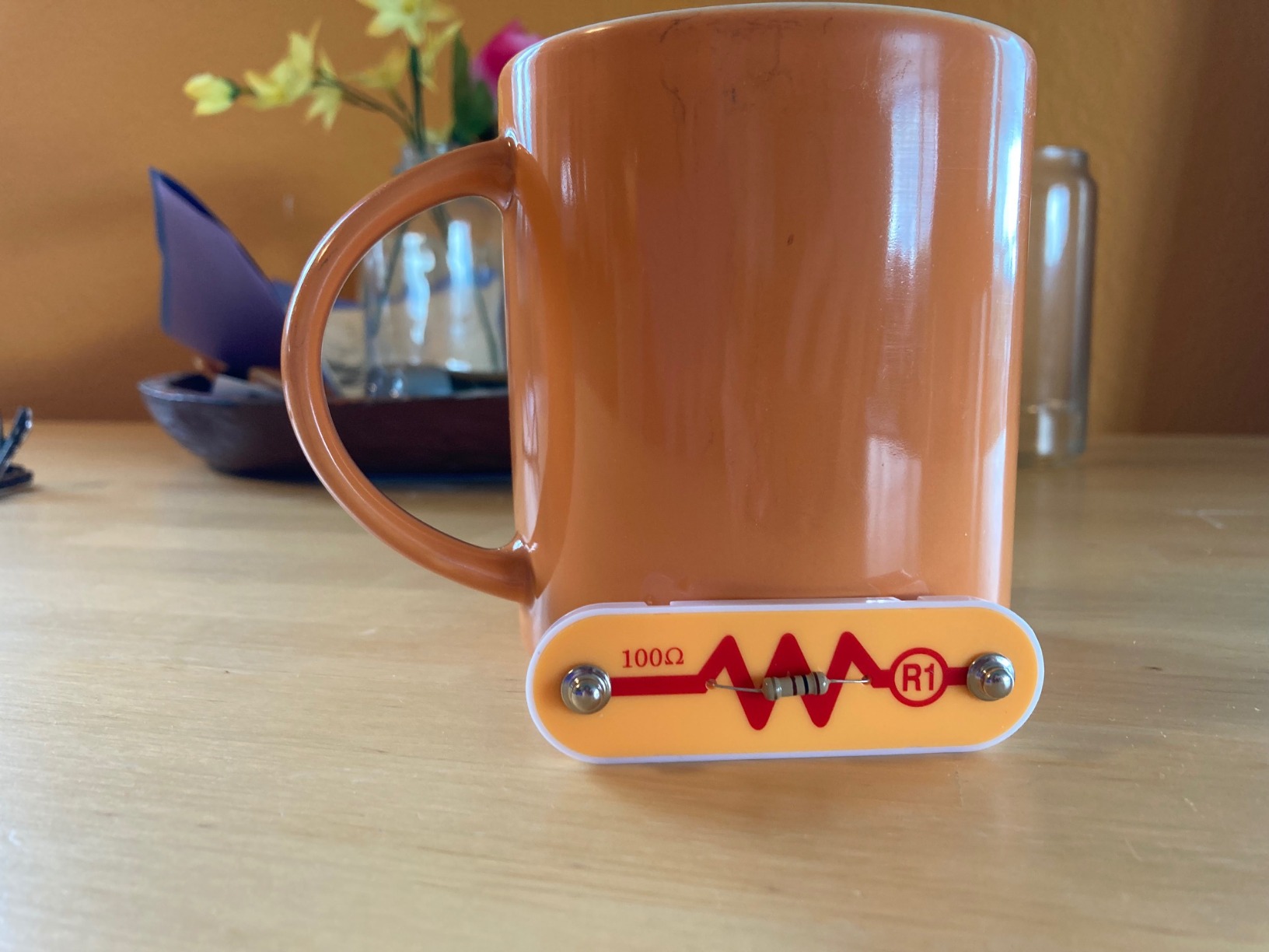 Snap Circuits Jr. SC-100 Electronics Exploration Kit, Over 100 Projects, Full Color Project Manual, 28 Parts, STEM Educational Toy for Kids 8+ - Customer Photo 2