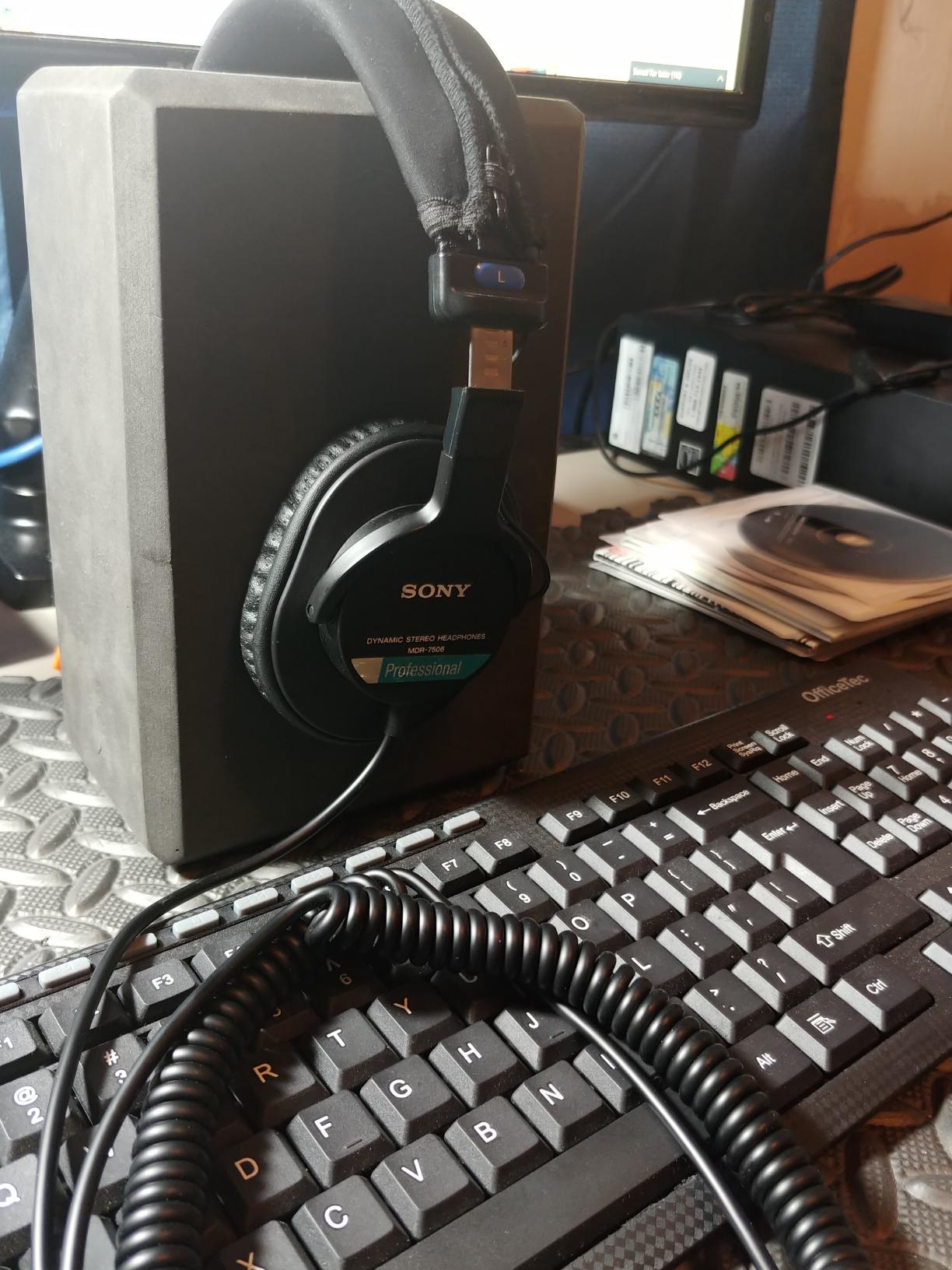 Sony MDR7506 Professional Large Diaphragm Headphone Customer Review Sony MDR7506 Professional Large Diaphragm Headphone - Customer Photo 2