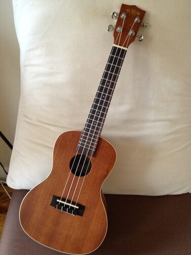 Kala KA-C Mahogany Concert Ukulele - Customer Photo 1