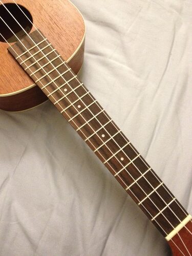 Kala KA-C Mahogany Concert Ukulele - Customer Photo 2