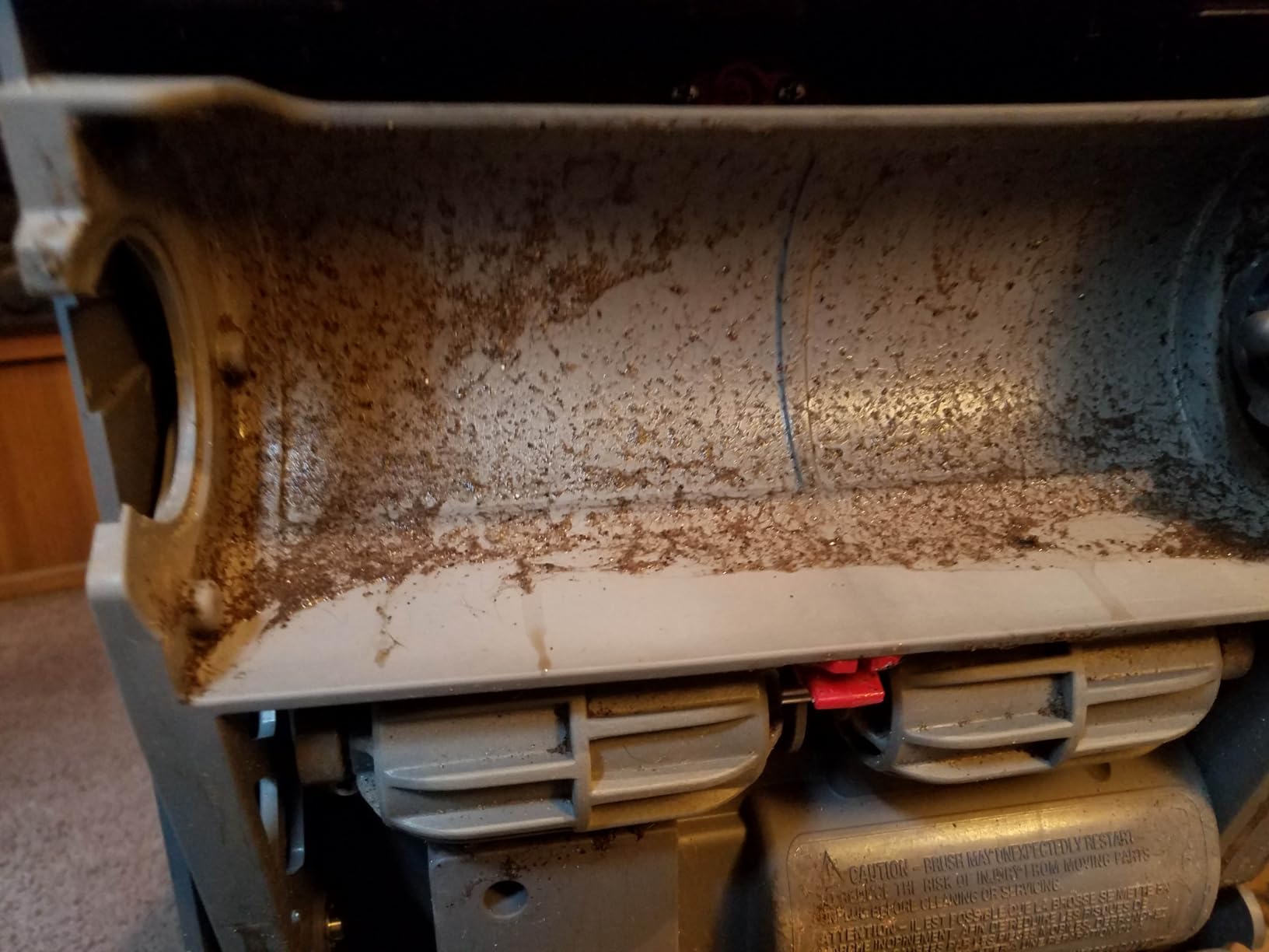 BISSELL® Big Green® Professional Carpet Cleaner with XL DirtLifter PowerBrush, 9-inch Long Reach Hose, 6-inch Tough Stain Tool, Includes BISSELL PRO MAX Formula with Stain Protect Technology - Customer Photo 1