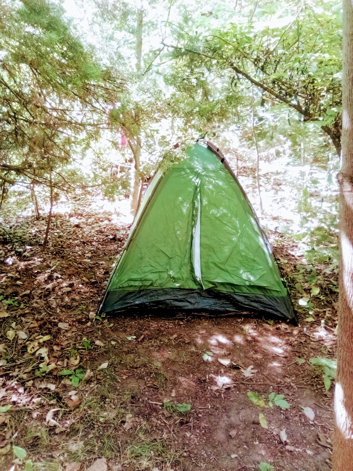 2 Person Camping Tent with Rain Fly and Carrying Bag - Lightweight Outdoor Pop Up Tents for Camping Essentials, Music Festivals, Backpacking, Hiking, or Beach Shelter by Wakeman Outdoors - Customer Photo 3