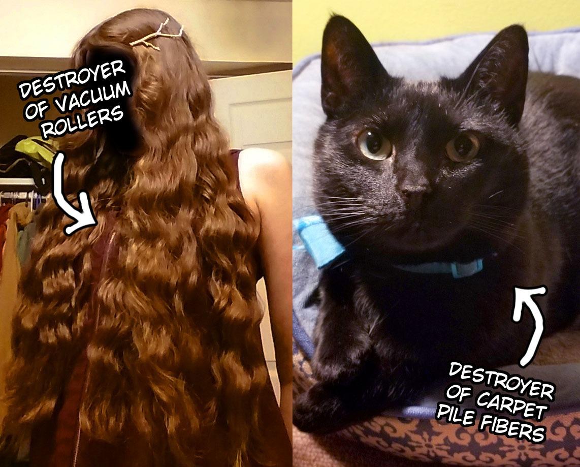 Shark Rocket Ultra-Light Corded Bagless Vacuum for Carpet and Hard Floor Cleaning with Swivel Steering (HV301), Gray/Orange - Customer Photo 1