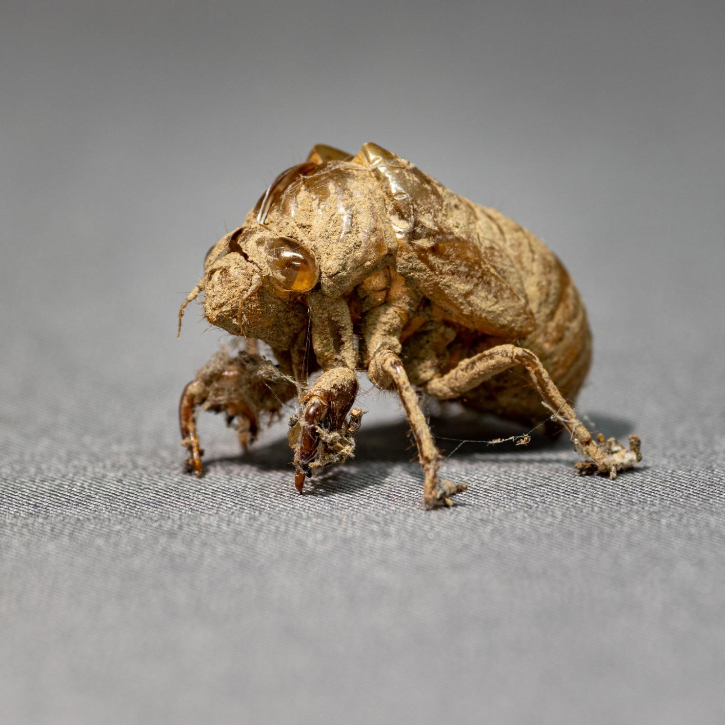 Canon EF-S 55-250mm F4-5.6 is STM - Customer Photo 4