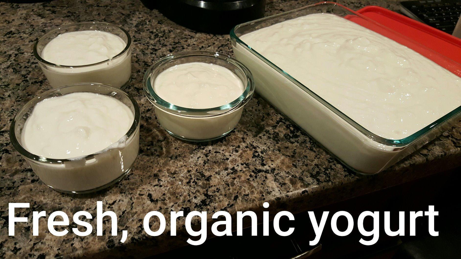 Instant Pot Duo 7-in-1 Electric Pressure Cooker, Slow Cooker, Rice, Steamer, Sauté, Yogurt Maker, Warmer & Sterilizer, Includes App With Over 800 Recipes, Stainless Steel, 6 Quart - Customer Photo 5