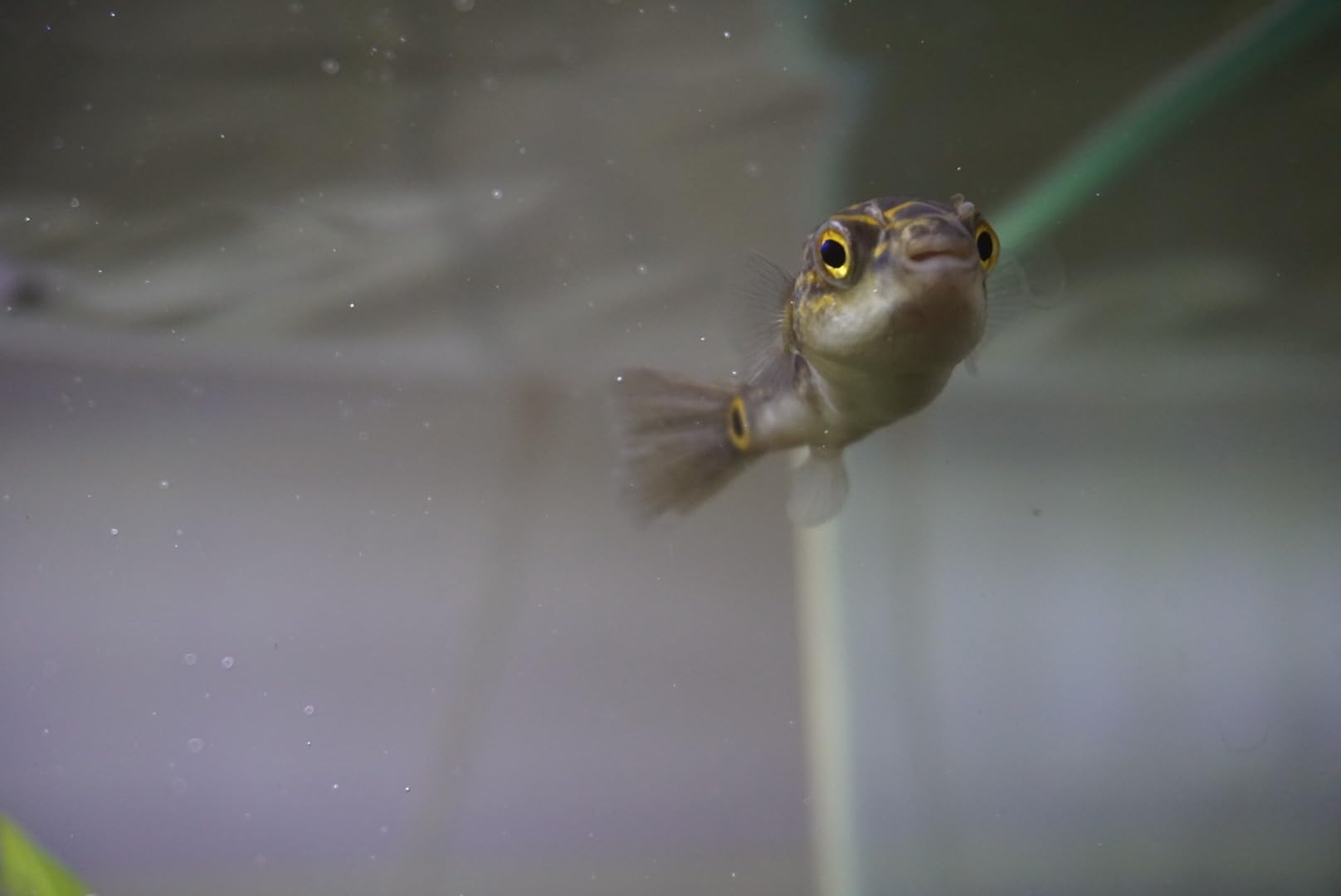 Sony a5100 16-50mm Mirrorless Digital Camera with 3-Inch Flip Up LCD (White) Customer Review Sony a5100 16-50mm Mirrorless Digital Camera with 3-Inch Flip Up LCD (White) - Customer Photo 2