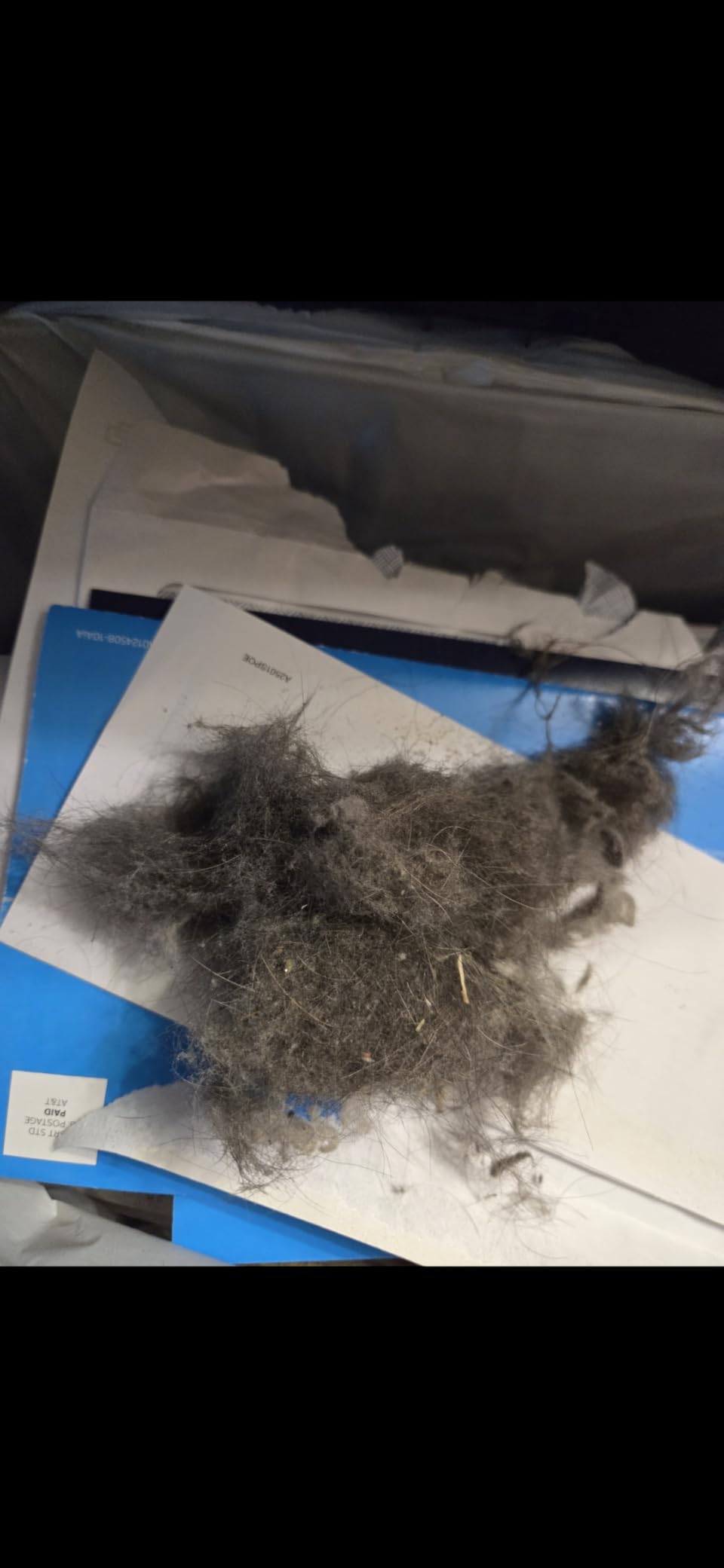 Shark HV322 Rocket Deluxe Pro Corded Stick Vacuum with LED Headlights, XL Dust Cup, Lightweight, Perfect for Pet Hair Pickup, Converts to a Hand Vacuum, with Pet Attachments, Bordeaux/Silver Customer Review Shark HV322 Rocket Deluxe Pro Corded Stick Vacuum with LED Headlights, XL Dust Cup, Lightweight, Perfect for Pet Hair Pickup, Converts to a Hand Vacuum, with Pet Attachments, Bordeaux/Silver - Customer Photo 1