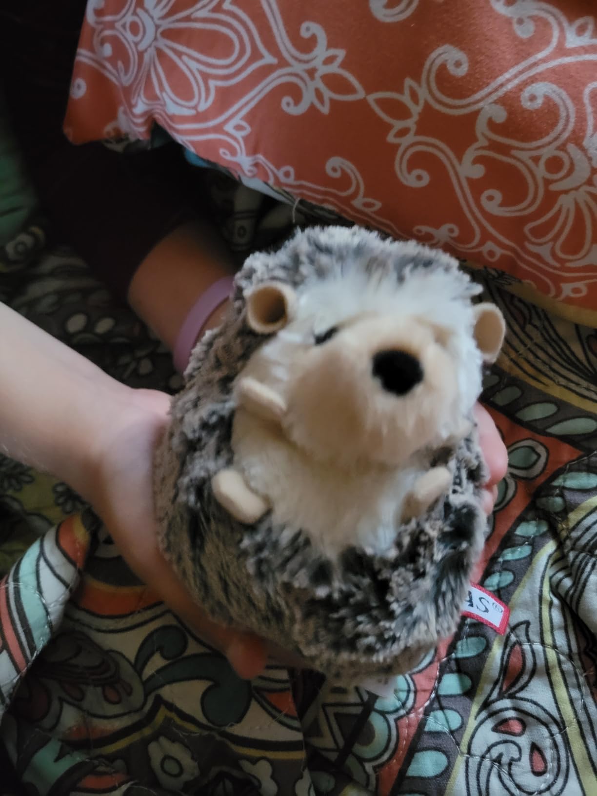Douglas Spunky Hedgehog Plush Stuffed Animal - Customer Photo 1