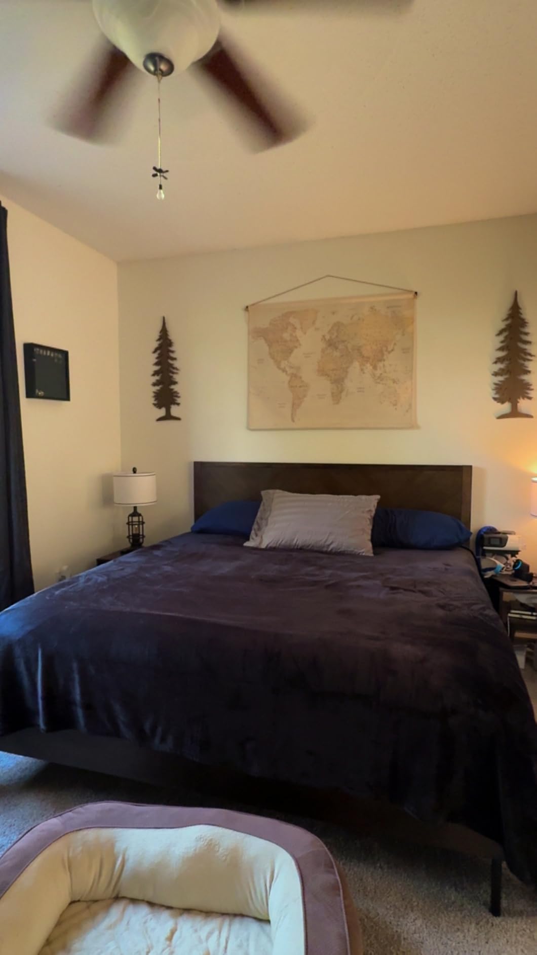 Bedsure GentleSoft Fleece Throw Blanket for Couch Grey - Lightweight Plush Fuzzy Cozy Soft Blankets and Throws for Sofa, 50x60 inches - Customer Photo 1