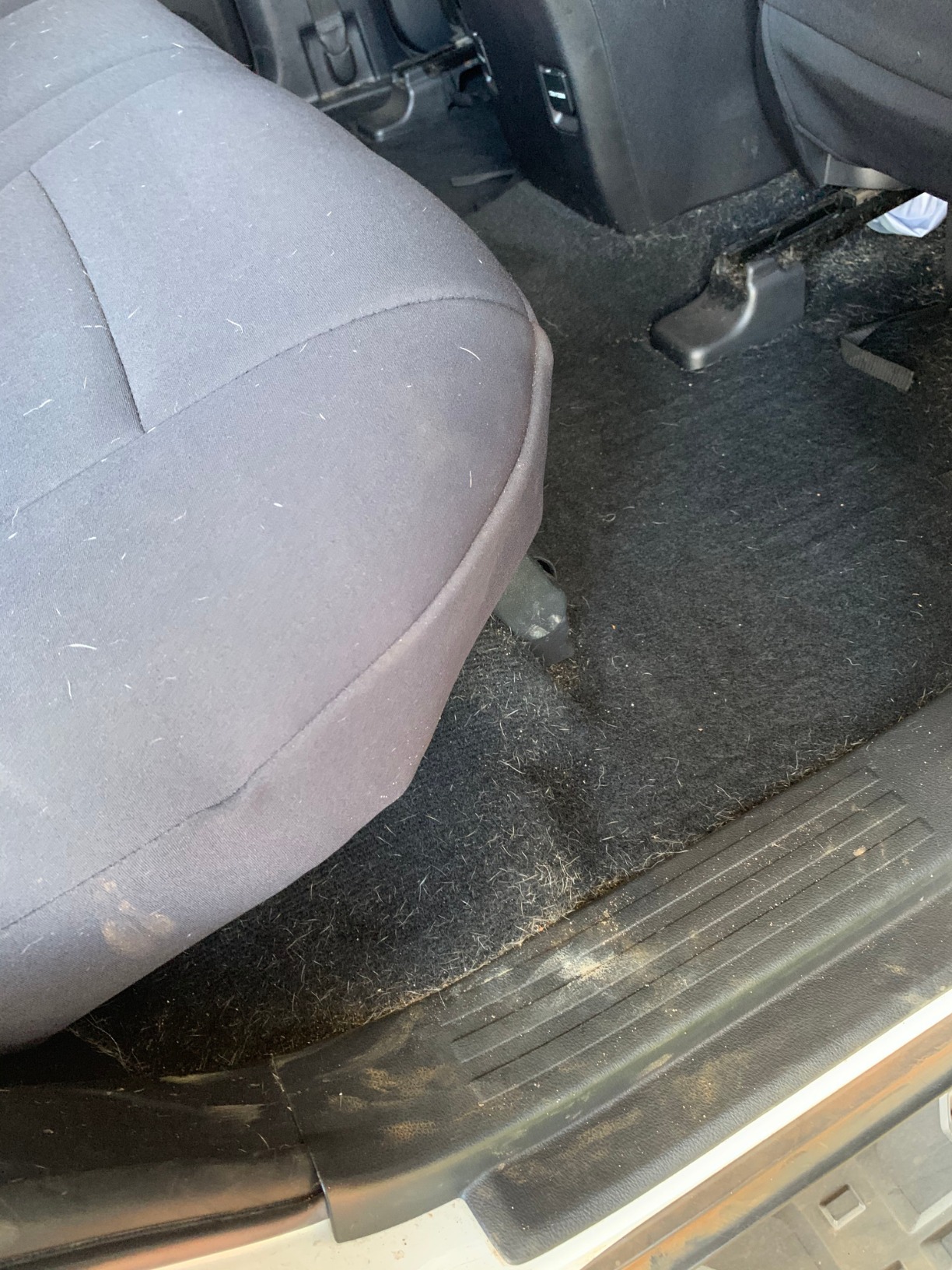 RIDGID Wet Dry Vacuums VAC4000 Powerful and Portable Vacuum Cleaner, Includes 4-Gallon, 5.0 Peak Horsepower Wet Dry Auto Vacuum Cleaner for Car, Dusting Brush, Car Nozzle, and Claw Nozzle - Customer Photo 1