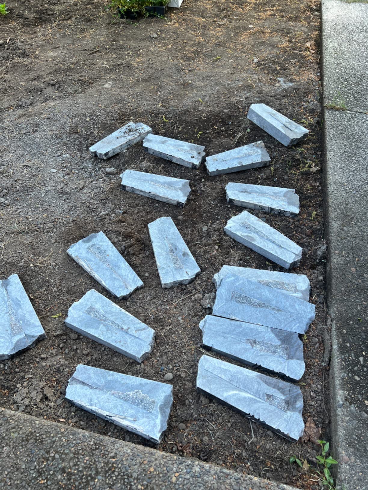 SKIL 15 Amp 7-1/4 Inch Circular Saw with Single Beam Laser Guide - 5280-01 Customer Review SKIL 15 Amp 7-1/4 Inch Circular Saw with Single Beam Laser Guide - 5280-01 - Customer Photo 2