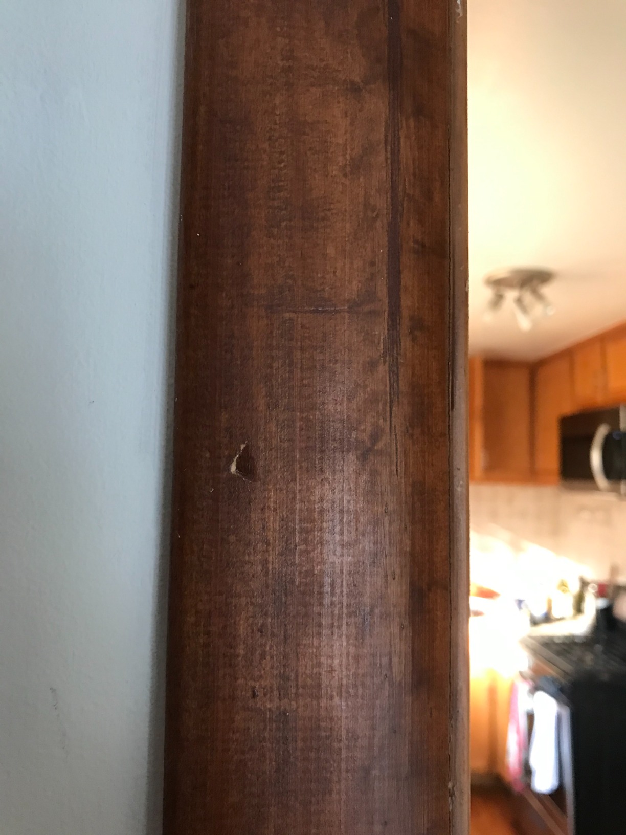 Gym1 Pull Up Bar for Doorway | Door Frame | No Screws Installation for Upper Body Fitness Workout at Home Gym | Made from Professional-Grade Steel - Customer Photo 2