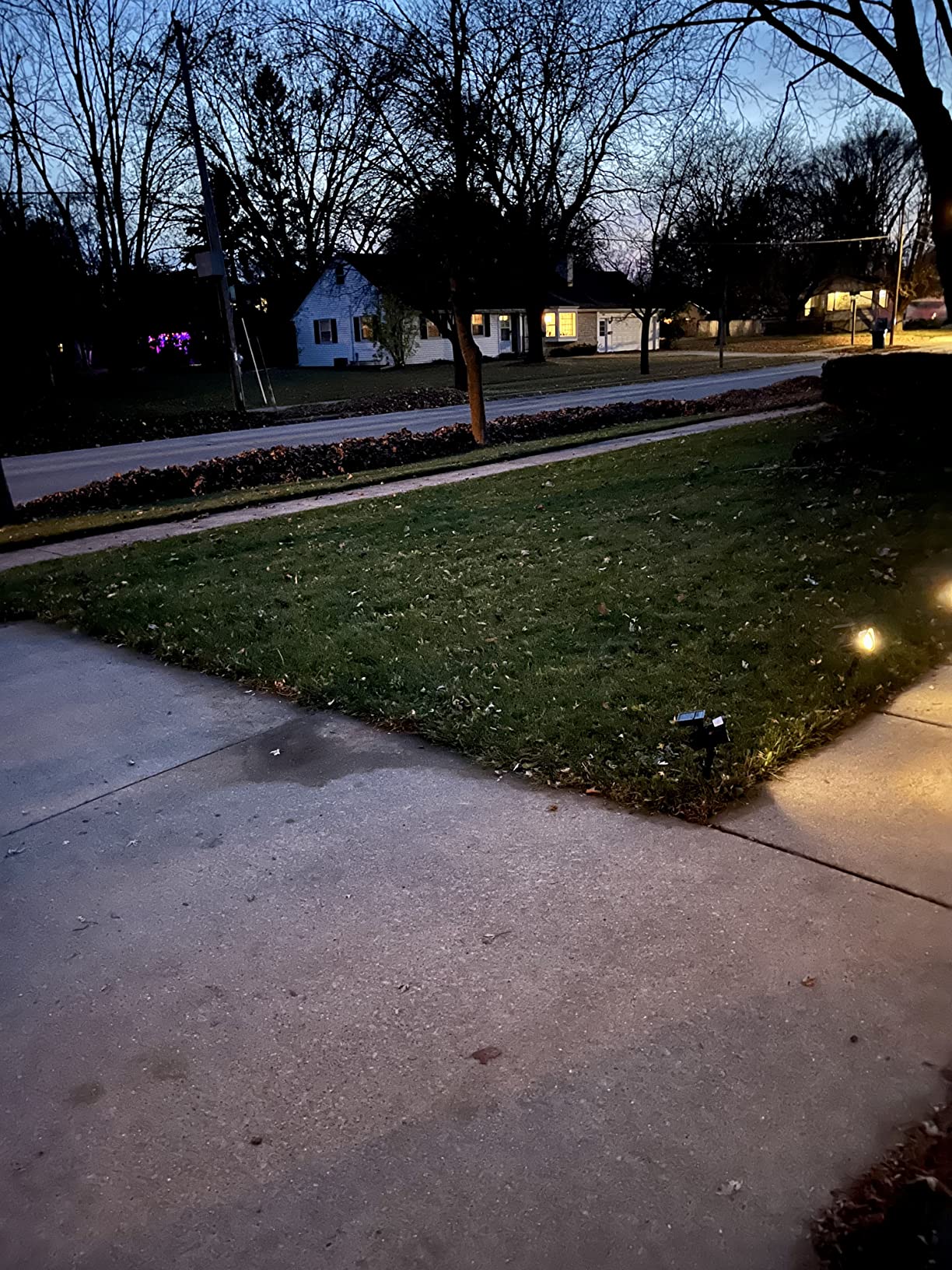 BLACK+DECKER Electric Leaf Blower, Handheld Blowers for Lawn Care, Lightweight, 180 MPH 180 CFM, 7-Amp, Corded (LB700) customer photo 1