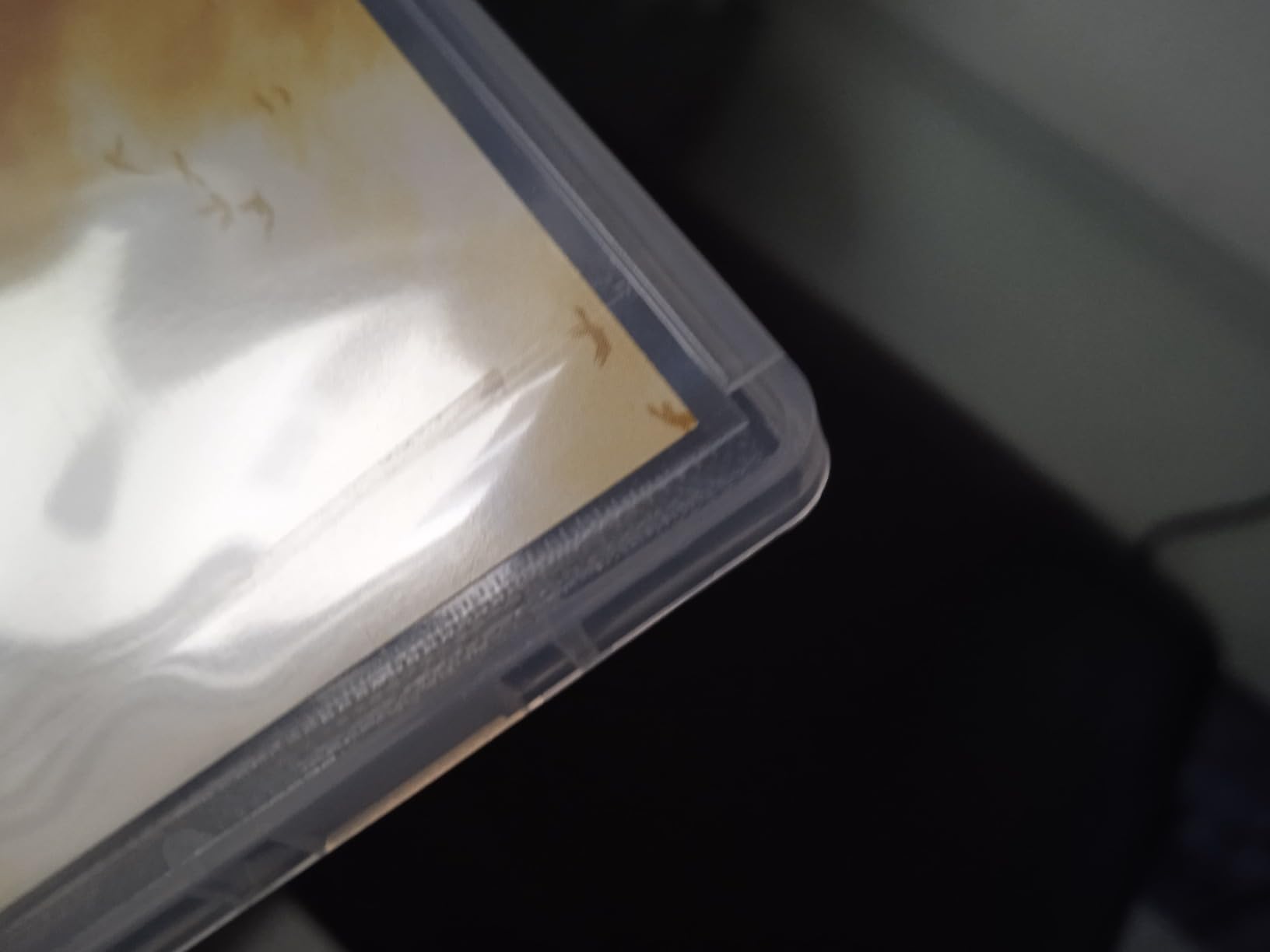 The Legend of Zelda: Breath of the Wild - US Version - Customer Photo 3