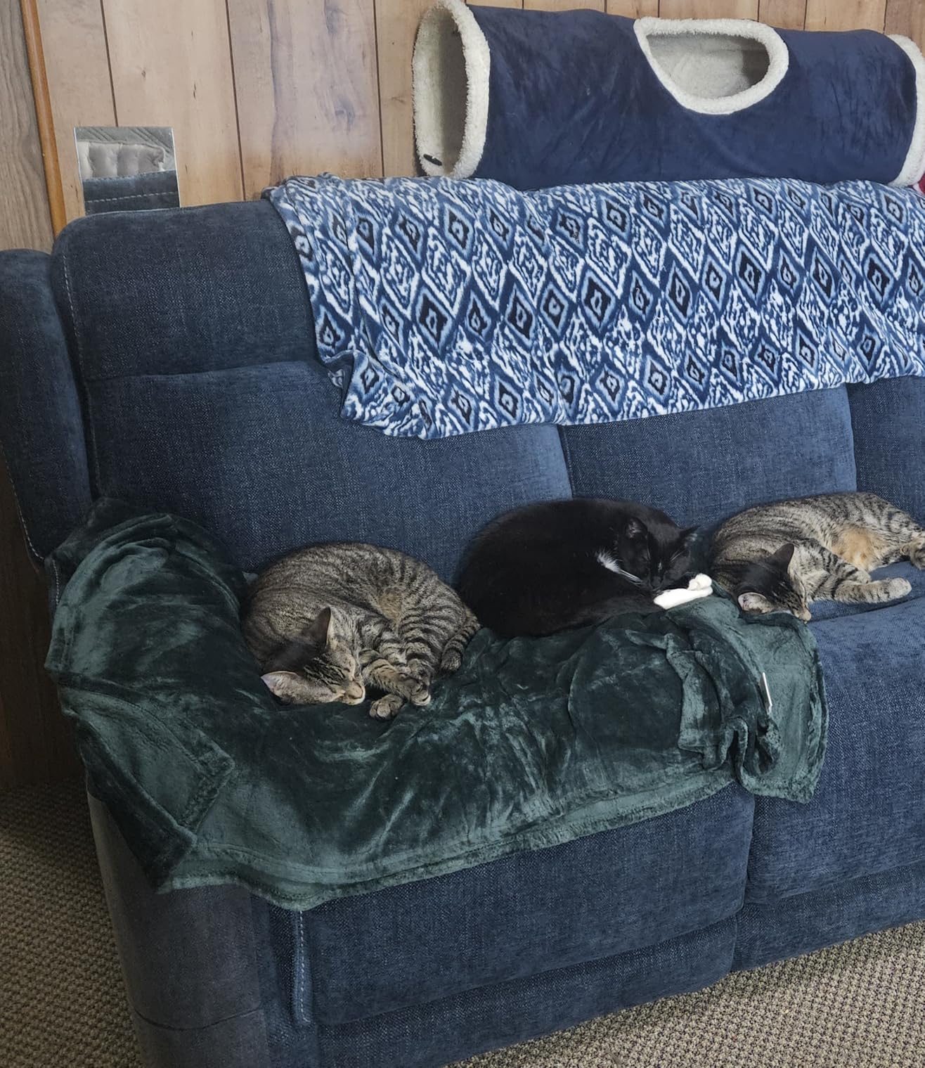 Exclusivo Mezcla Extra Large Fleece Throw Blanket for Couch, Sofa, 300GSM Super Soft and Warm Blankets, Forest Green Throw All Season Use, Cozy, Plush, Lightweight, 50x70 Inches - Customer Photo 1