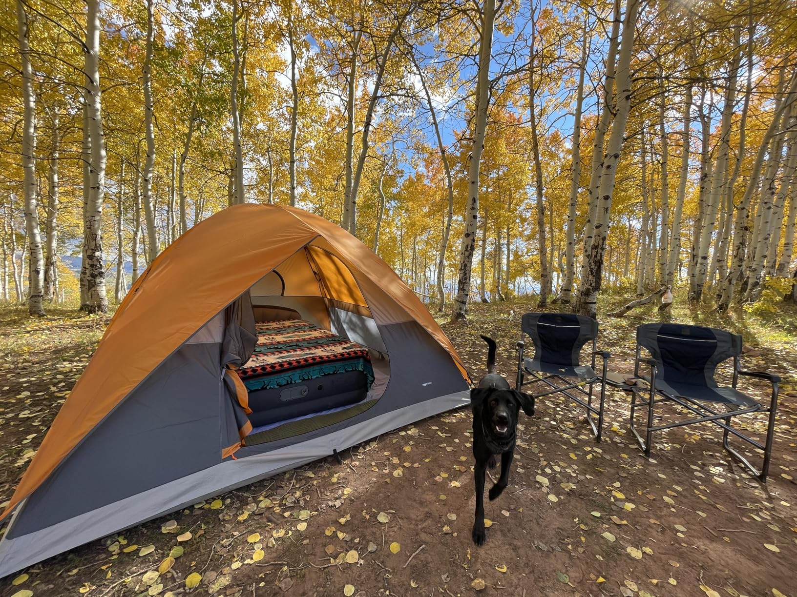 Amazon Basics Camping Tent, 3-Season Dome Design with Rainfly - Customer Photo 1