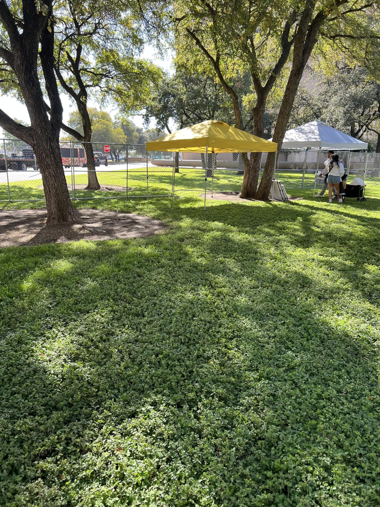 CROWN SHADES 10x10 Pop Up Canopy - Beach Tent with One Push Setup - Easy Outdoor Sun Shade for Events, Parties, Camping - Gazebo with STO-N-Go Cover Bag, Silver Coated Top, Grid White - Customer Photo 2