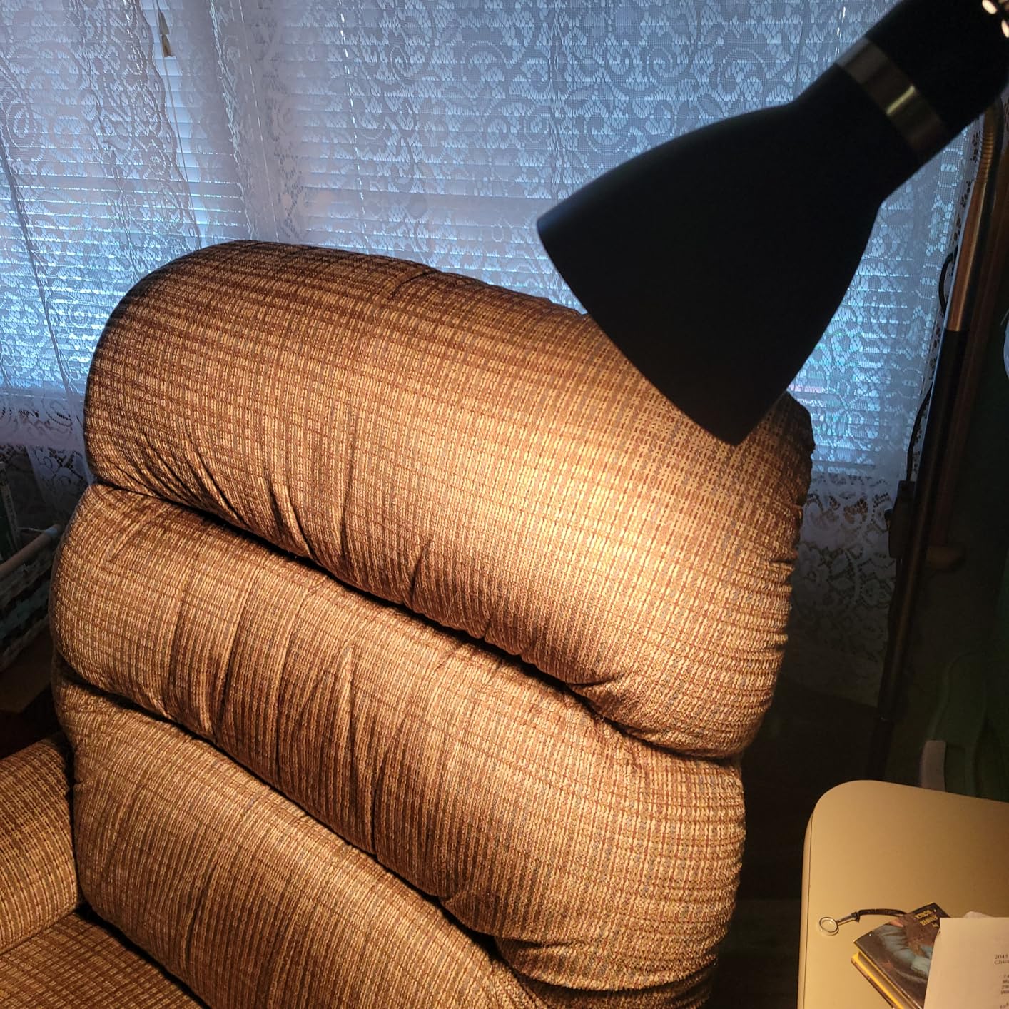 LEPOWER Floor Lamp, Metal Standing Lamp with Adjustable Gooseneck, Heavy Metal Base, Reading Pole Lamp for Office, Black Floor Lamps for Bedroom, Living Room - Customer Photo 2