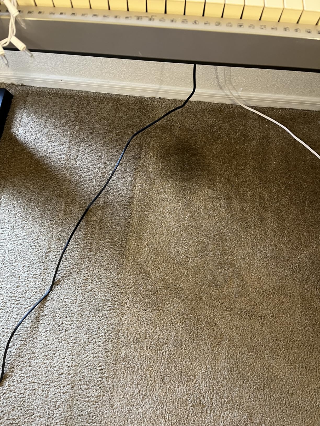 Hoover PowerDash Pet Compact Carpet Cleaner Machine, Lightweight Shampooer Machine, Pair with a Hoover Carpet Cleaner Solution for a Bright, Refreshed Home - Customer Photo 2