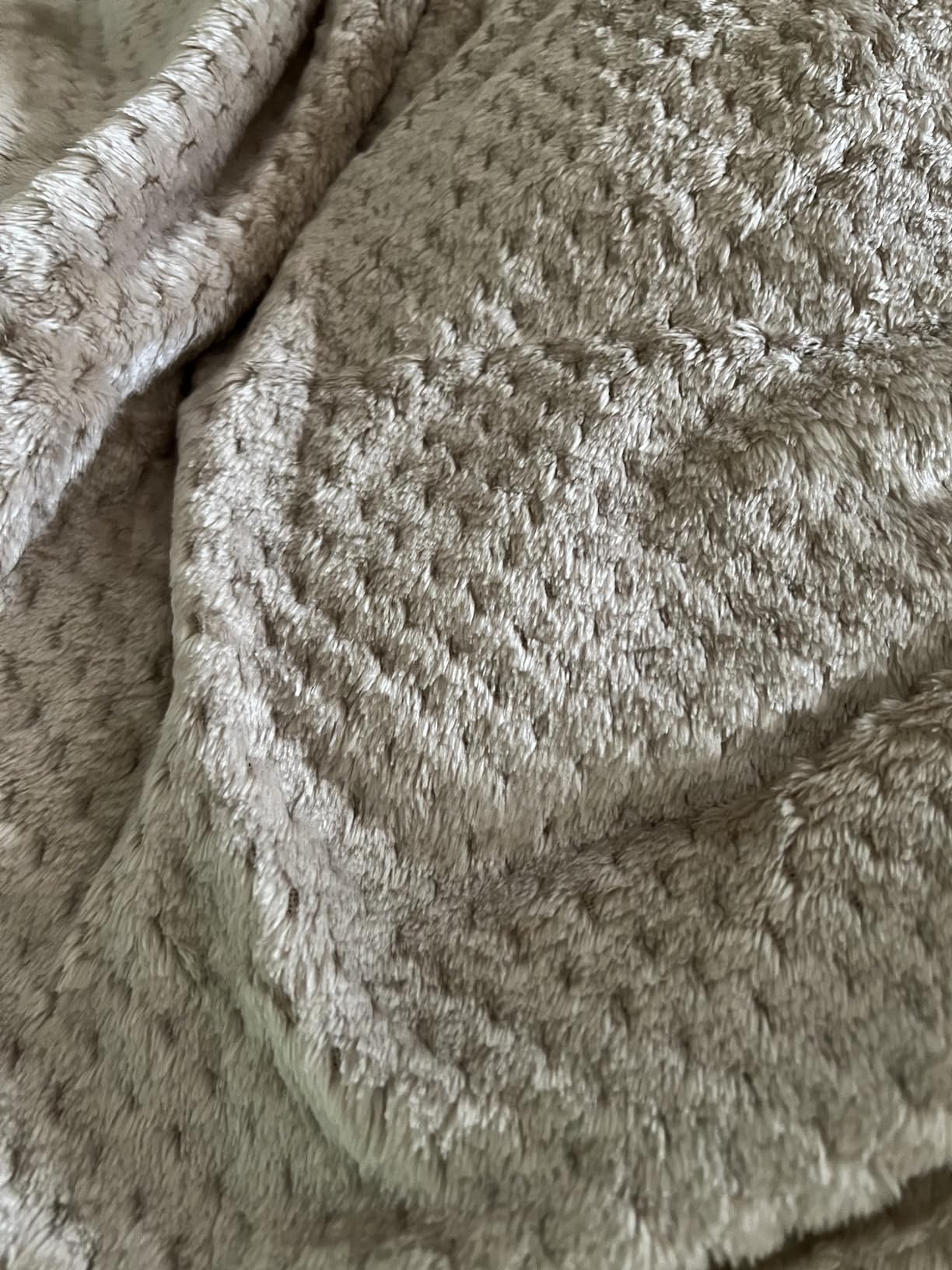 PAVILIA Tan Taupe Throw Blanket for Couch Bed, Soft Fleece Throws for Sofa Chair, Fuzzy Waffle Textured Blanket, Cozy Warm Lightweight All Season Blanket Throw, 50x60 - Customer Photo 4