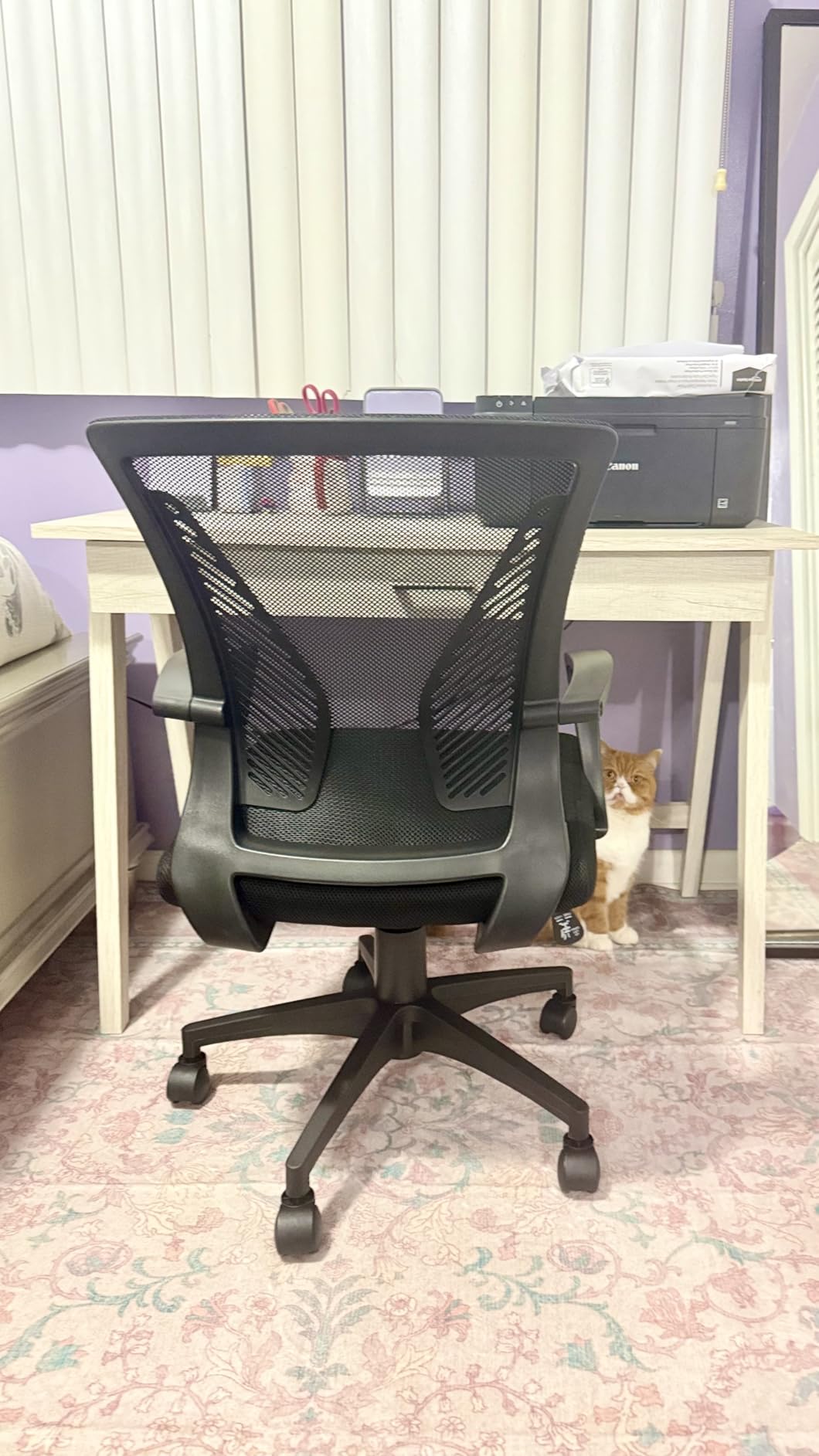 Furmax Office Chair Ergonomic Computer Desk Mesh Chair Mid Back Swivel Lumbar Support with Armrest (1, Black) Customer Review Furmax Office Chair Ergonomic Computer Desk Mesh Chair Mid Back Swivel Lumbar Support with Armrest (1, Black) - Customer Photo 1