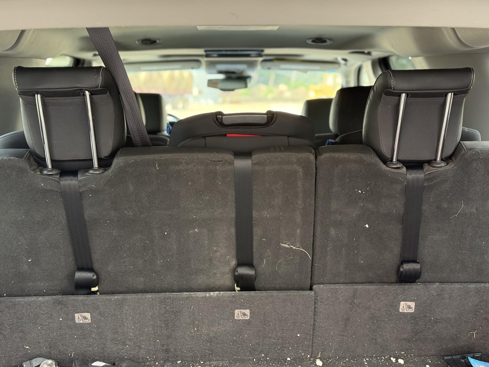 Graco Tranzitions 3-in-1 Harness Booster Car Seat, Forward Facing Car Seat, Highback, to Backless Booster, Black - Customer Photo 1