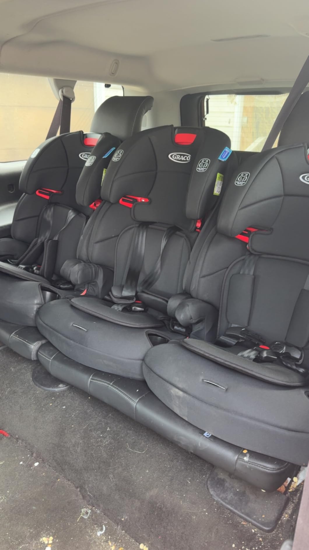 Graco Tranzitions 3-in-1 Harness Booster Car Seat, Forward Facing Car Seat, Highback, to Backless Booster, Black - Customer Photo 2