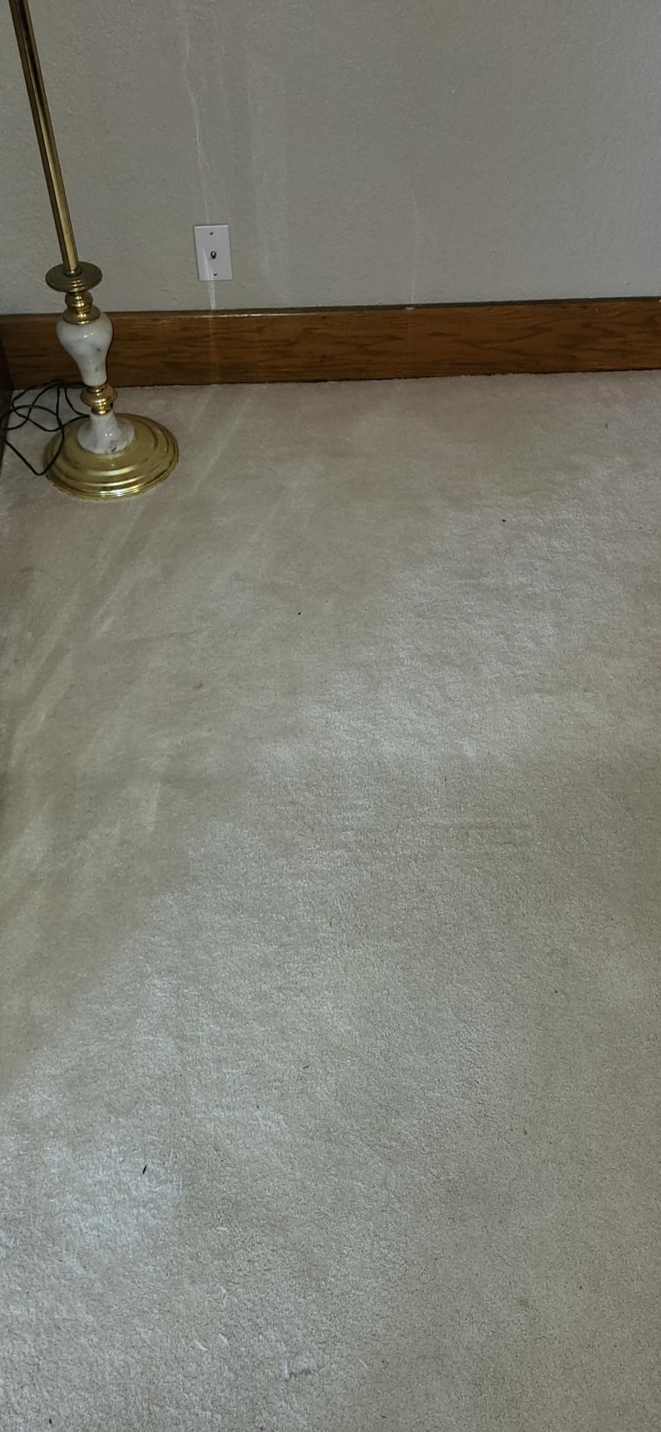 Shark ZU561 Navigator Lift-Away Speed Self Cleaning Brushroll Lightweight Upright Vacuum with HEPA Filter, Red Peony Customer Review Shark ZU561 Navigator Lift-Away Speed Self Cleaning Brushroll Lightweight Upright Vacuum with HEPA Filter, Red Peony - Customer Photo 2