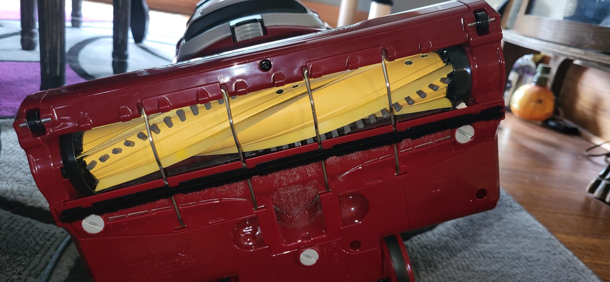 Shark ZU561 Navigator Lift-Away Speed Self Cleaning Brushroll Lightweight Upright Vacuum with HEPA Filter, Red Peony Customer Review Shark ZU561 Navigator Lift-Away Speed Self Cleaning Brushroll Lightweight Upright Vacuum with HEPA Filter, Red Peony - Customer Photo 5