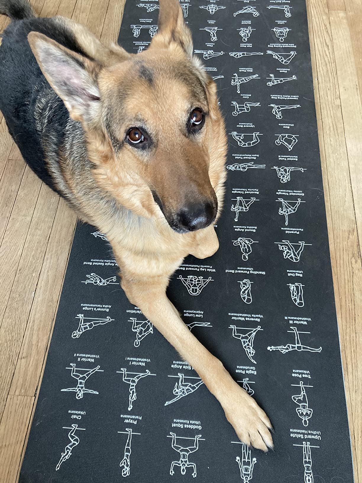 NewMe Fitness Yoga Mat for Women and Men - Large, 5mm Thick, 68 Inch Long, Non Slip Exercise Mats w/ 70 Printed Yoga Poses for Pilates, Workout and Stretching - Home and Gym Essentials - Customer Photo 1