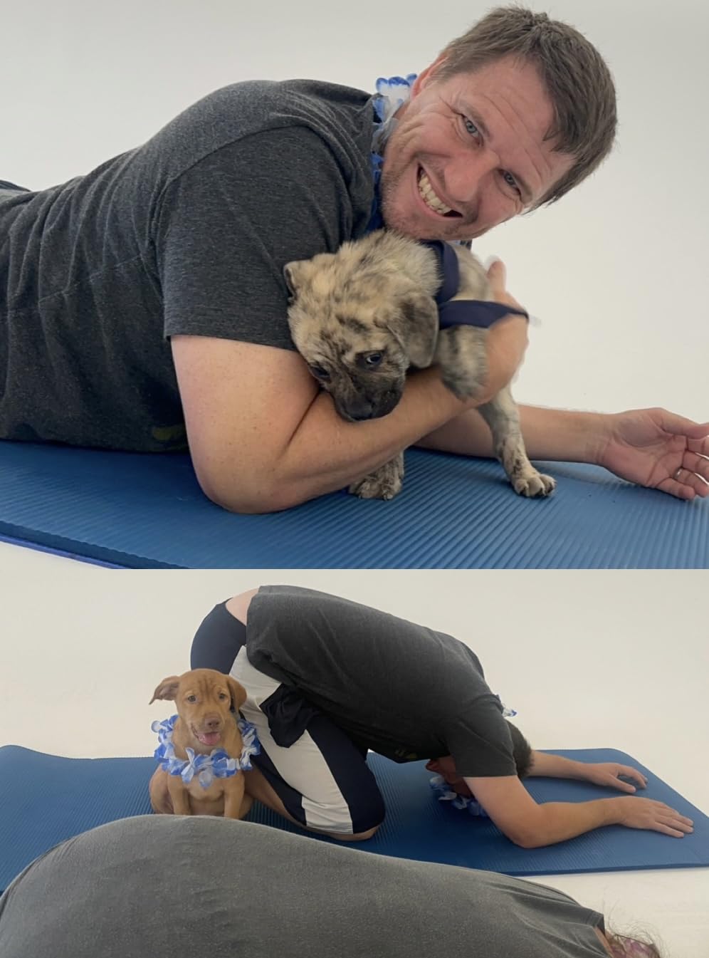 Gaiam Gaiam Essentials 2/5