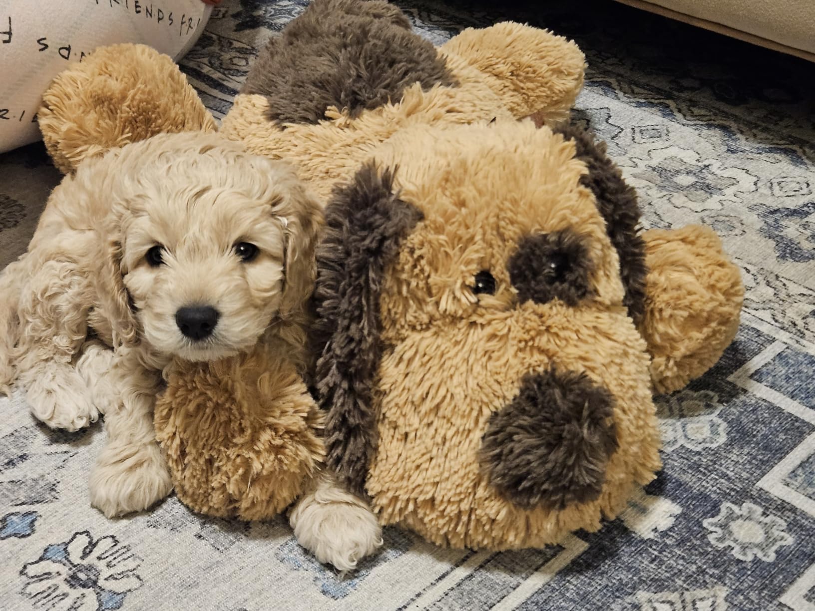 Floppy Stuffed Dog Puppy Plush Toy, Huggable Beagle Labrador Retriever Stuffed Animal Dogs for Kids Girls Boys Baby Birthday Gift, 20 inch, Brown - Customer Photo 1