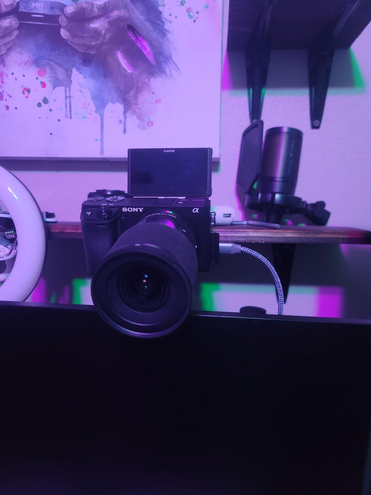 Elgato Cam Link 4K – External Capture Card for DSLR & Camcorder, ActionCam as Webcam, Meet/Stream/Record in 1080p60 or 4K30/4K60, Easy Connect for OBS/Zoom/Discord – HDMI to USB 3.0, PC/Mac/iPad - Customer Photo 1