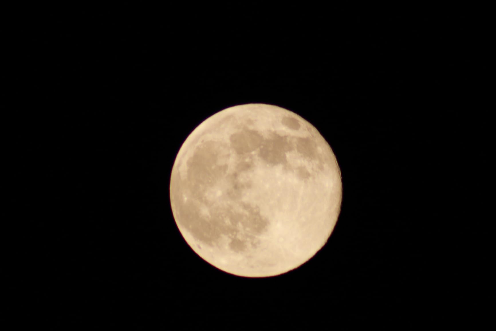 JINTU 420-800mm f/ 8.3 Manual Telephoto Zoom Lens + T-Mount for Canon EOS Rebel SL2 SL1 T3 T3i T4i T5 T5i T6 T6i T6s T7 T7i 4000D 6D 7D 60D 70D 77D 80D 5D II/III/IV 550D 650D SLR Camera Lenses - Customer Photo 5