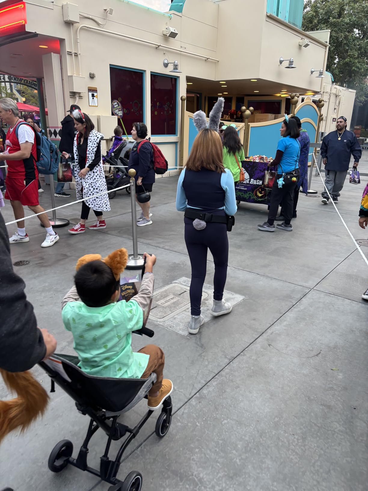 Dream On Me Lightweight and Compact Coast Rider Stroller with One Hand Easy Fold, Adjustable Handles and Soft Ride Wheels, Black - Customer Photo 2