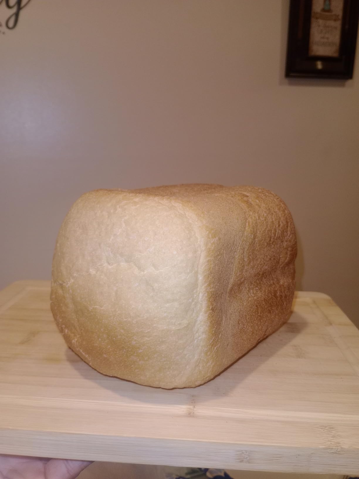 Amazon Basics Programmable Bread Maker, 2 Pound Non-Stick Automatic Bread Making Machine, 14 Settings for Breads, Doughs, Gluten-Free Options and More, LCD Display, White - Customer Photo 3